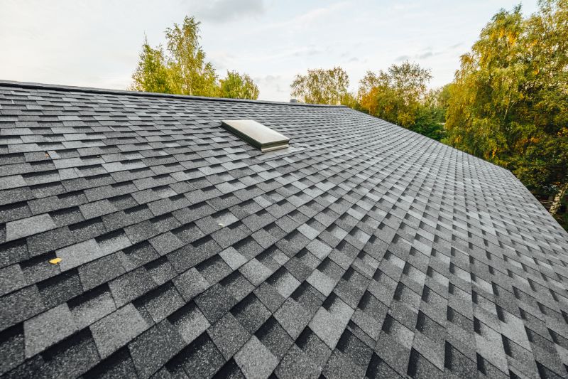 Asphalt Shingle Roof Installation Vs. Other Roofing Options